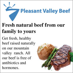 advert