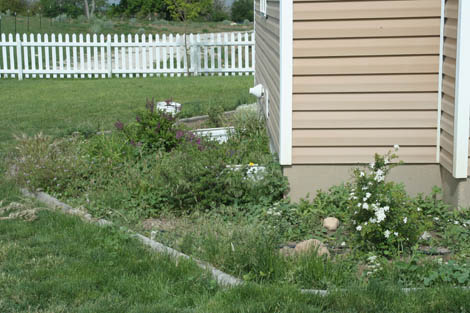 The Other Mother would never post this photo of her weed infested flower beds earlier this spring.