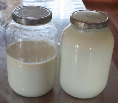 butter separate milk cream making fridge step