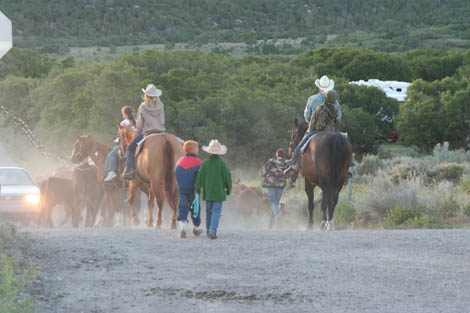 5AM Cattle Drive and a Giveaway